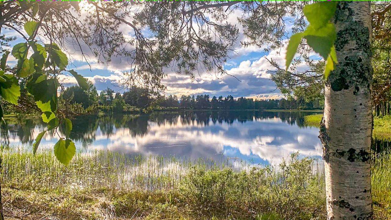 Trollforsen Camping & Cottages Gargnäs المظهر الخارجي الصورة