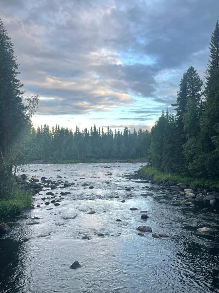 Trollforsen Camping & Cottages Gargnäs المظهر الخارجي الصورة