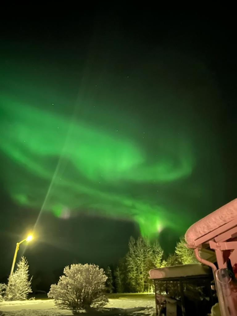 Trollforsen Camping & Cottages Gargnäs المظهر الخارجي الصورة