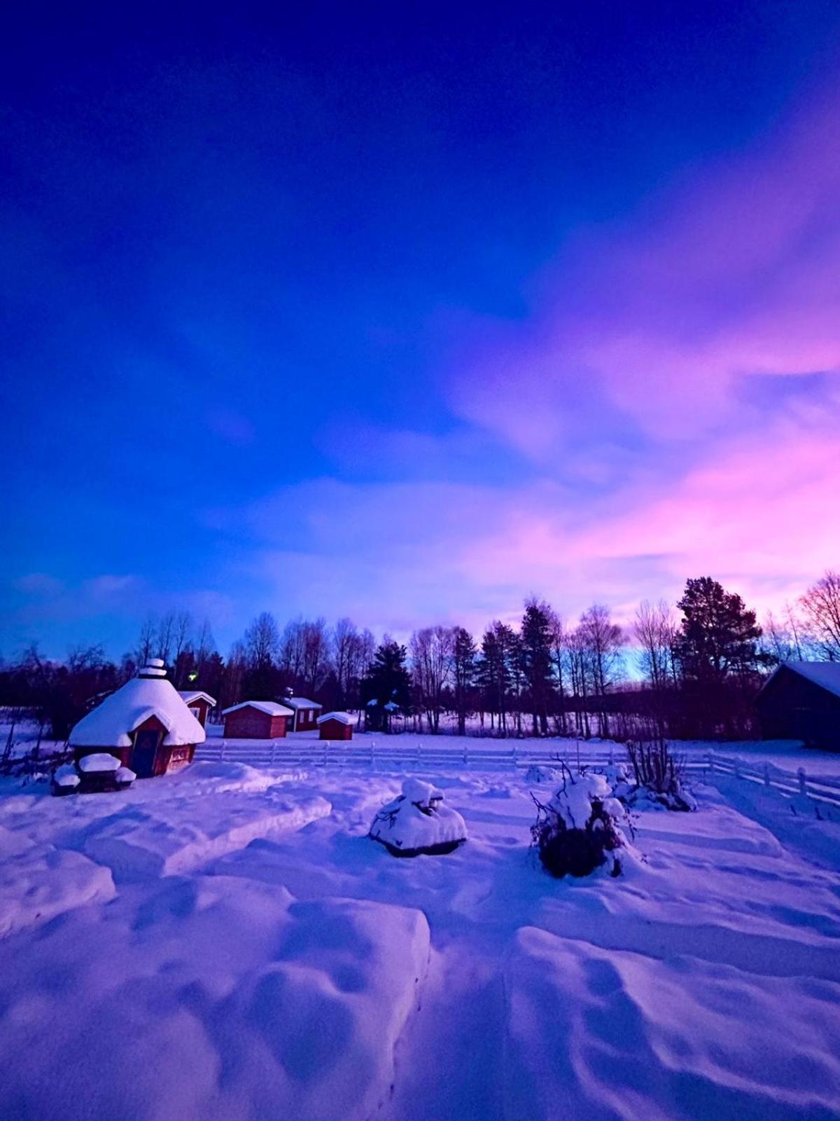 Trollforsen Camping & Cottages Gargnäs المظهر الخارجي الصورة